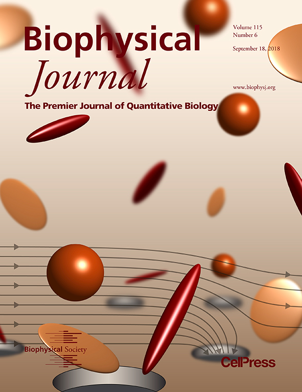 Biophysical Journal Cover